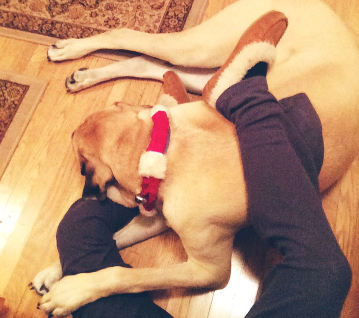 Christine-Cameron-My-Style-Pill-Life-Lately-Seattle-Christmas3