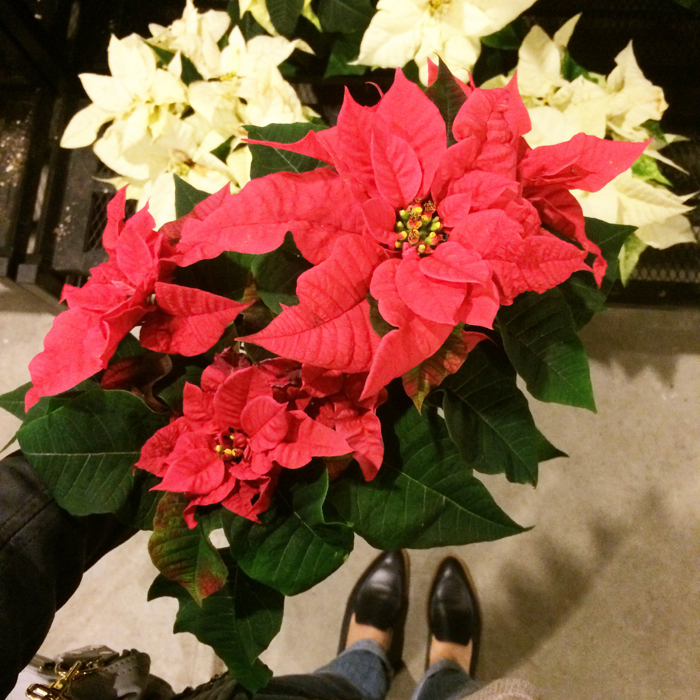 Christine-Cameron-My-Style-Pill-Life-Lately-Seattle-Christmas5