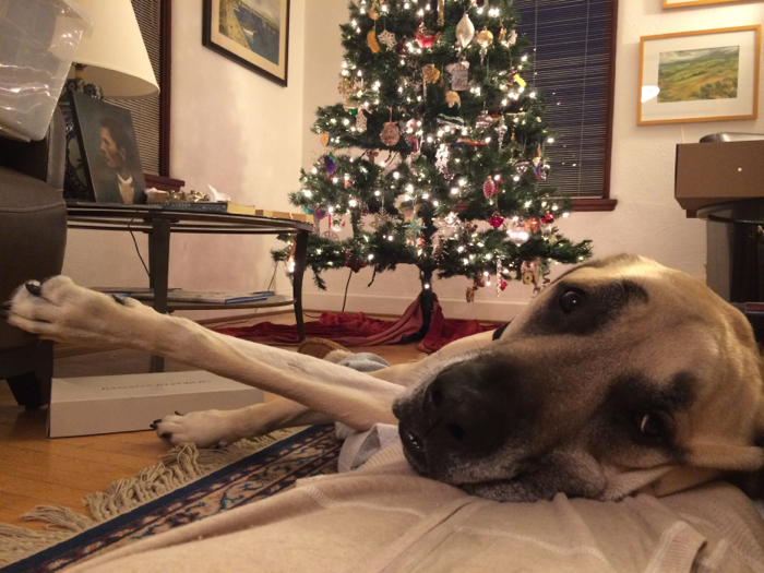Christine-Cameron-My-Style-Pill-Life-Lately-Seattle-Christmas6