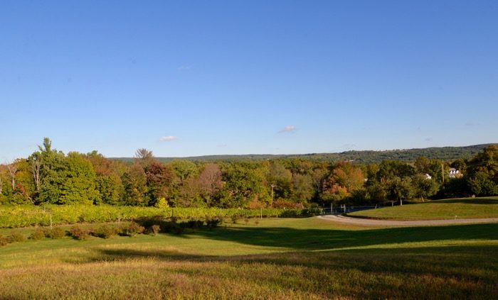 Garnet-Hill-Chatham-Winery-New-York-Christine-Cameron-我式丸 - 旅行日记3