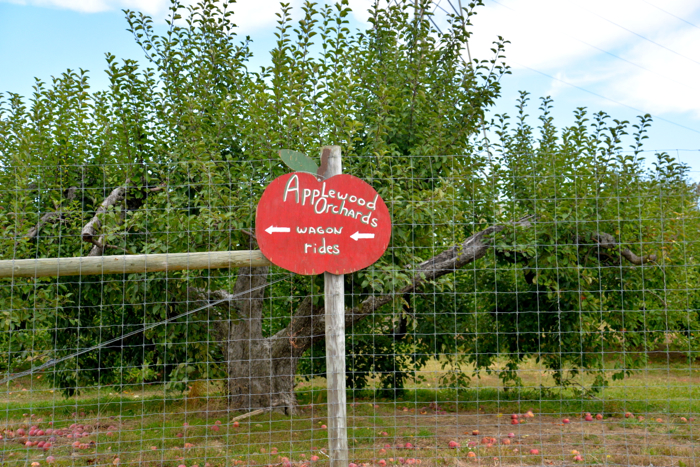 Christine Cameron-Applewood-Orchards-My-Style-Pill8