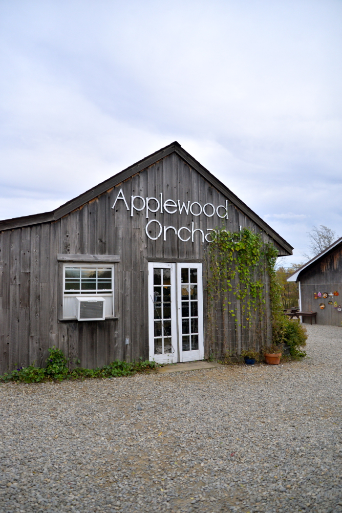 Christine Cameron-Bow-Tie-Casey-Applewood-Orchards- My-style Pill13