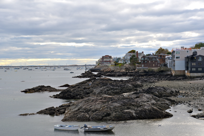 DSC_0787.