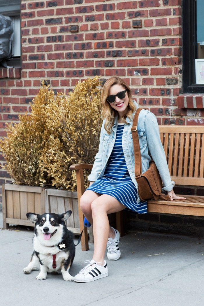 Christine Cameron由Forever 21和A只有Elvis The Corgy Krystal Bicks Dog4
